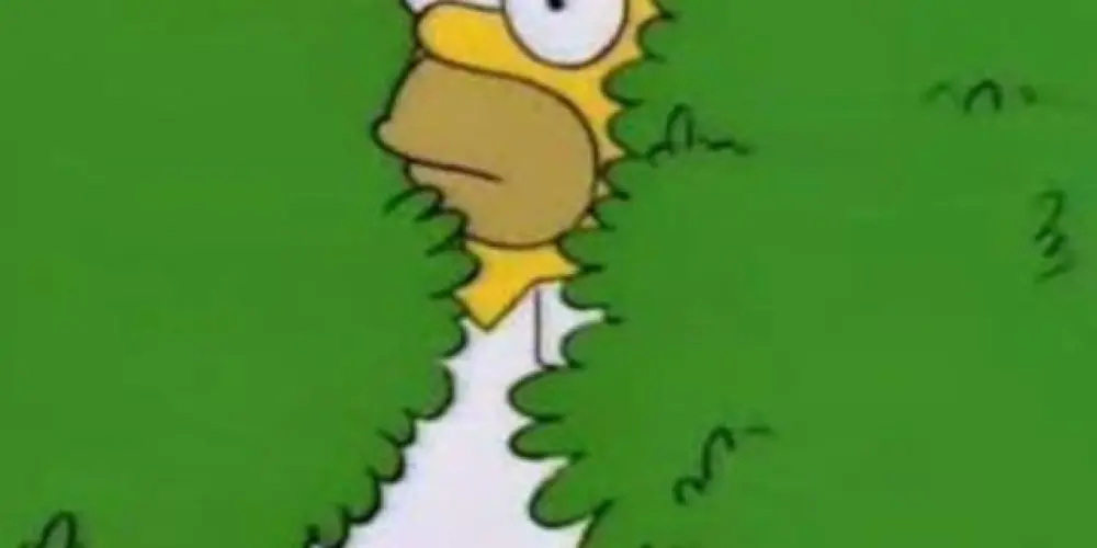 Imagem do grupo de WhatsApp Conversas e zueira 24h