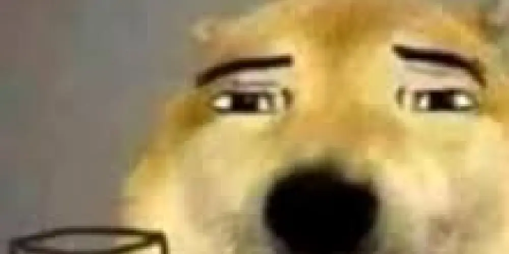 Imagem do grupo de WhatsApp Conversas Impurras