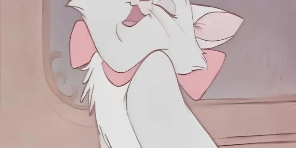 Imagem do grupo de WhatsApp Coquette my