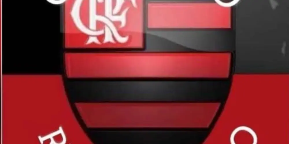 Imagem do grupo de WhatsApp Coração Rubro Negro❤️🖤