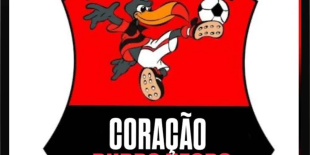 Imagem do grupo de WhatsApp Coração rubro negro ⚫️🔴🇦🇴