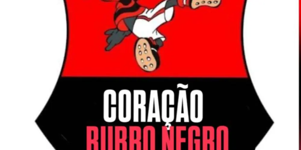 Imagem do grupo de WhatsApp Coração Rubro_Negro ❤️🖤🇦🇴