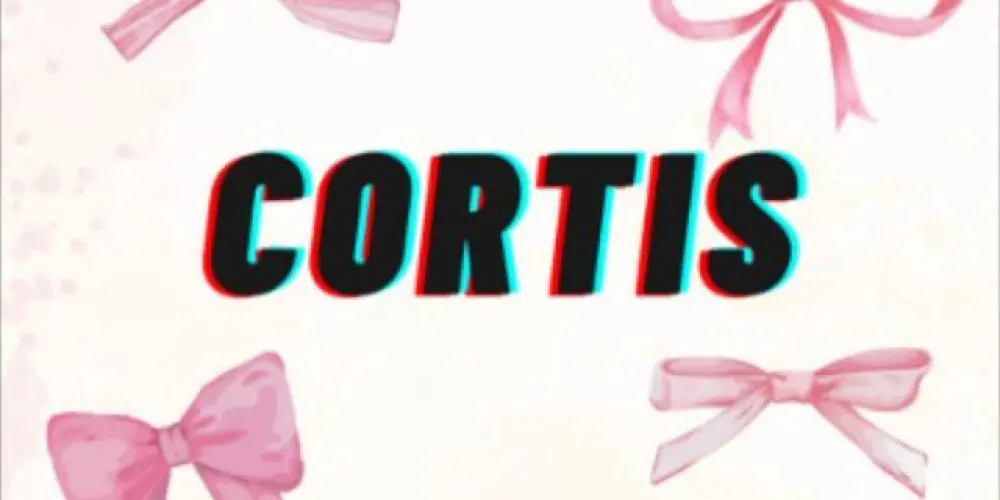 Imagem do grupo de WhatsApp *＊✿❀cortis🧸❀✿＊*