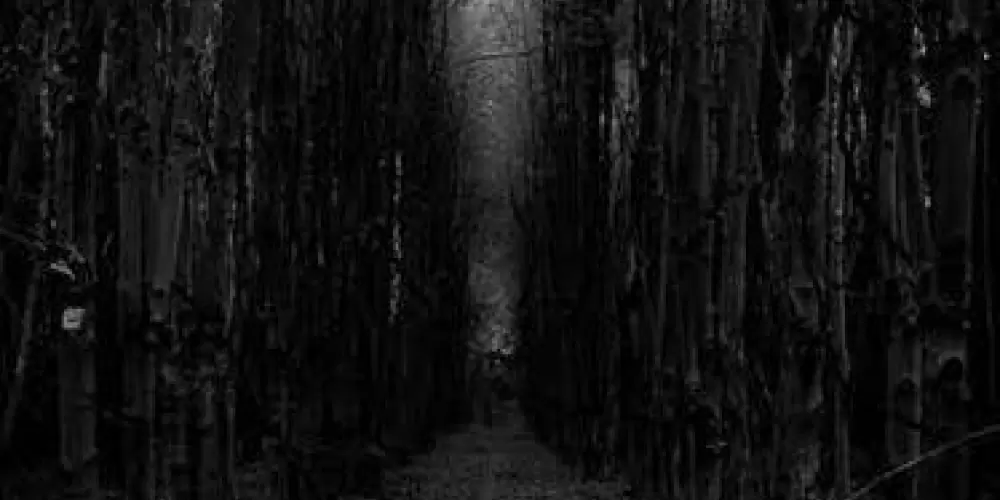 Imagem do grupo de WhatsApp Cosplay 2