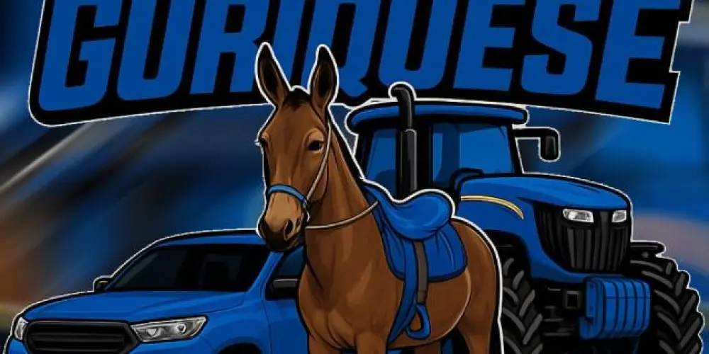 Imagem do grupo de WhatsApp // 🇧🇷 Country 𝙊𝙎 𝙂𝙐𝙍𝙄𝙌𝙐𝙀𝙎𝙀//