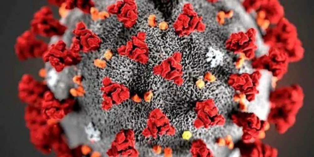 Imagem do grupo de WhatsApp Covid-21