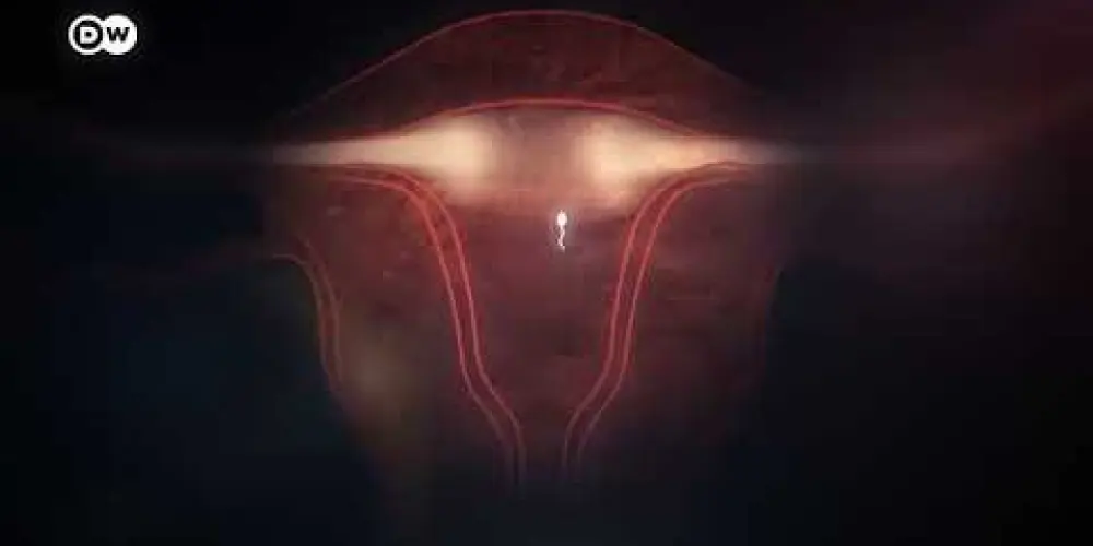 Imagem do grupo de WhatsApp covil delas