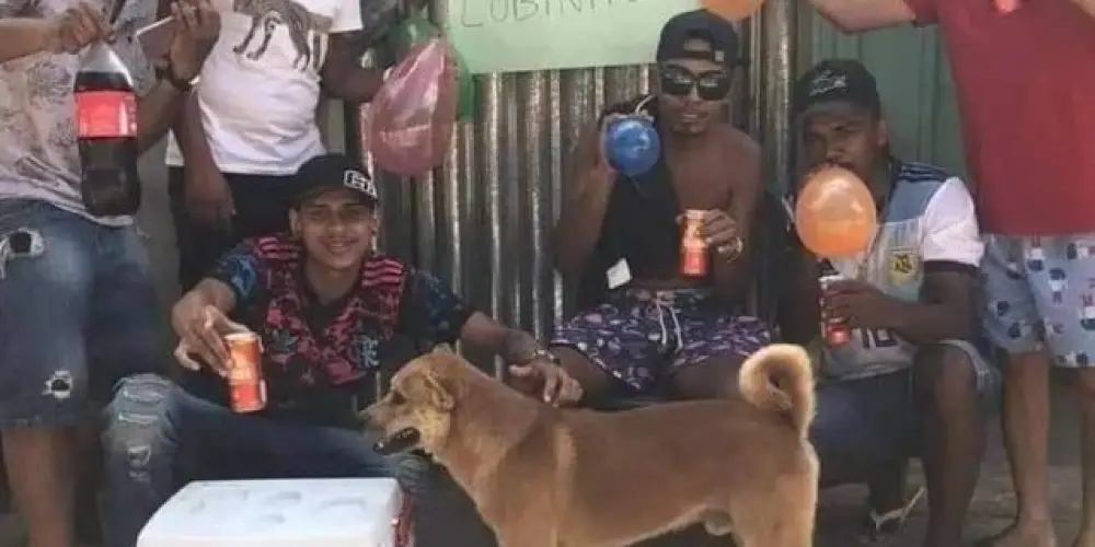 Imagem do grupo de WhatsApp Covil do Caos