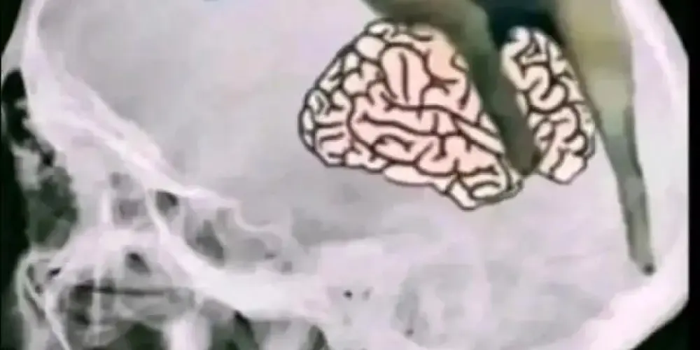 Imagem do grupo de WhatsApp 💯💯💢💥COVIL DOS MALOCA💸😈🤬💯💯