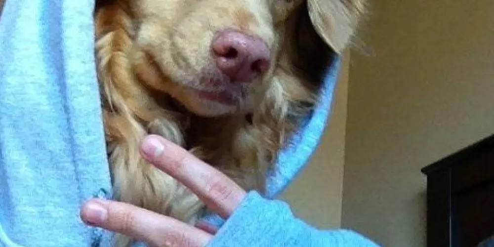 Imagem do grupo de WhatsApp C̷P̷I̷ ̷D̷A̷ ̷R̷E̷S̷E̷N̷H̷A̷