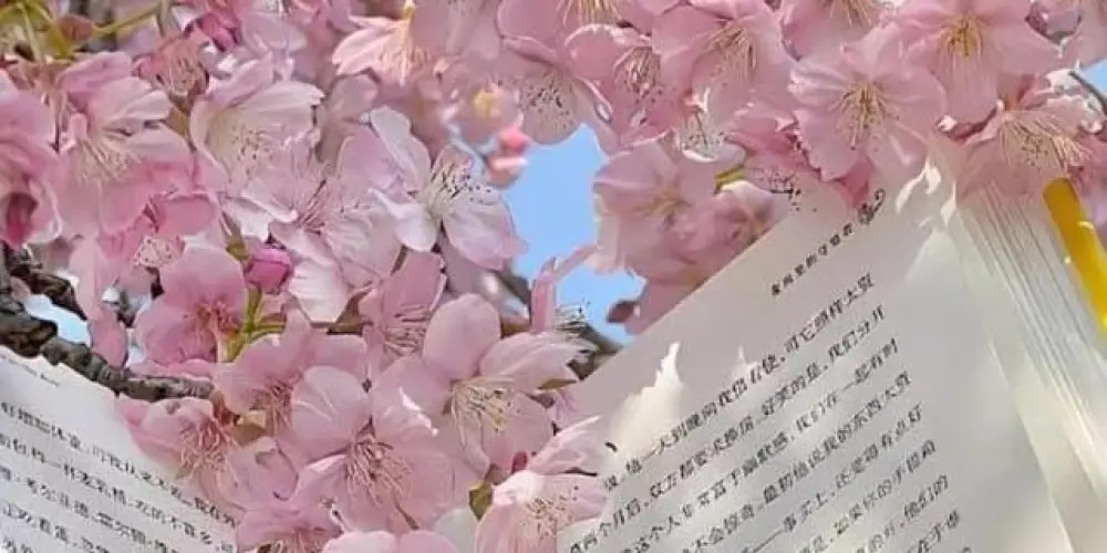 Imagem do grupo de WhatsApp Cᥲrᥱ ᵗᵒ Oᥙr᥉ᥱᥣf᥉ ★