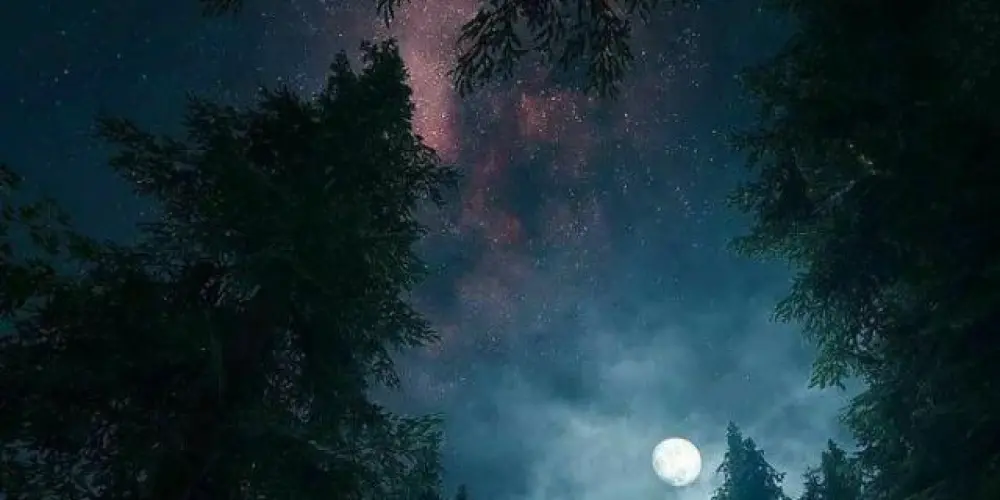 Imagem do grupo de WhatsApp Crazy family