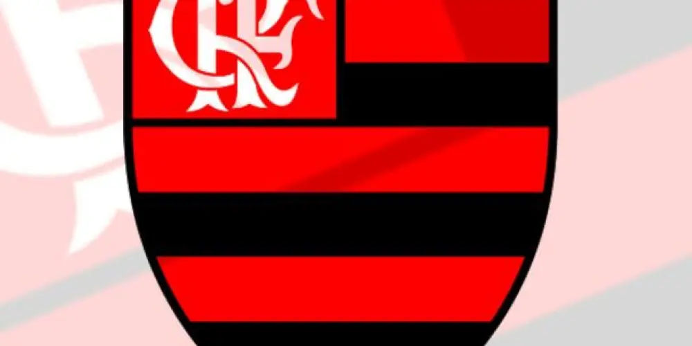 Imagem do grupo de WhatsApp CRF | FLAMENGO 🐦‍⬛
