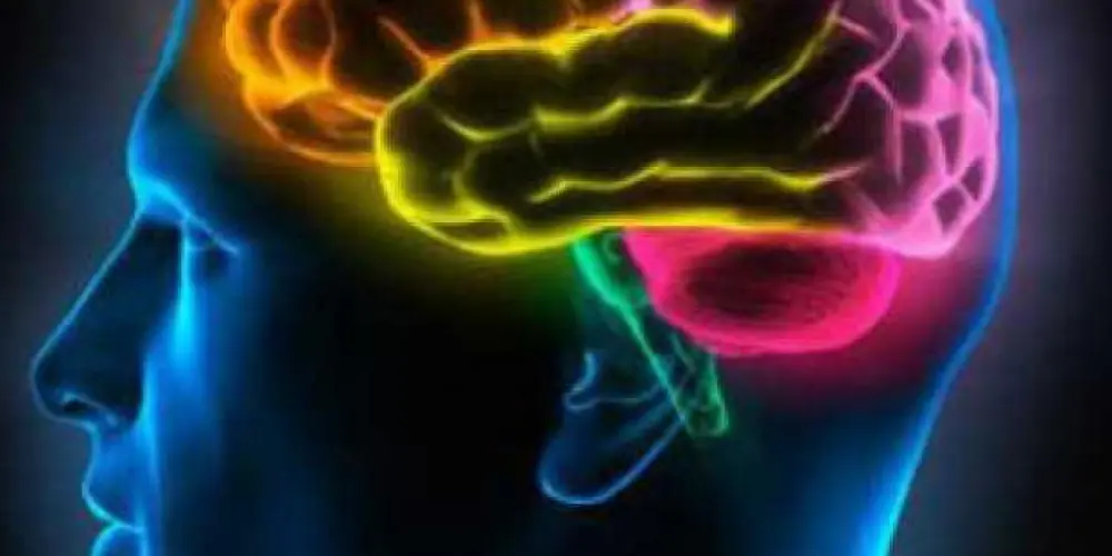 Imagem do grupo de WhatsApp CRIE NOVAS AMIZADES !!