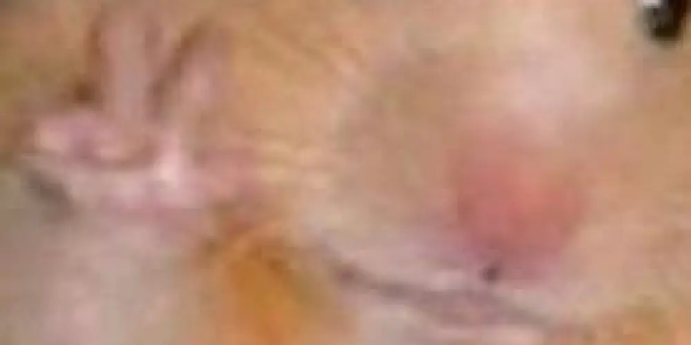 Imagem do grupo de WhatsApp CRIOLOS