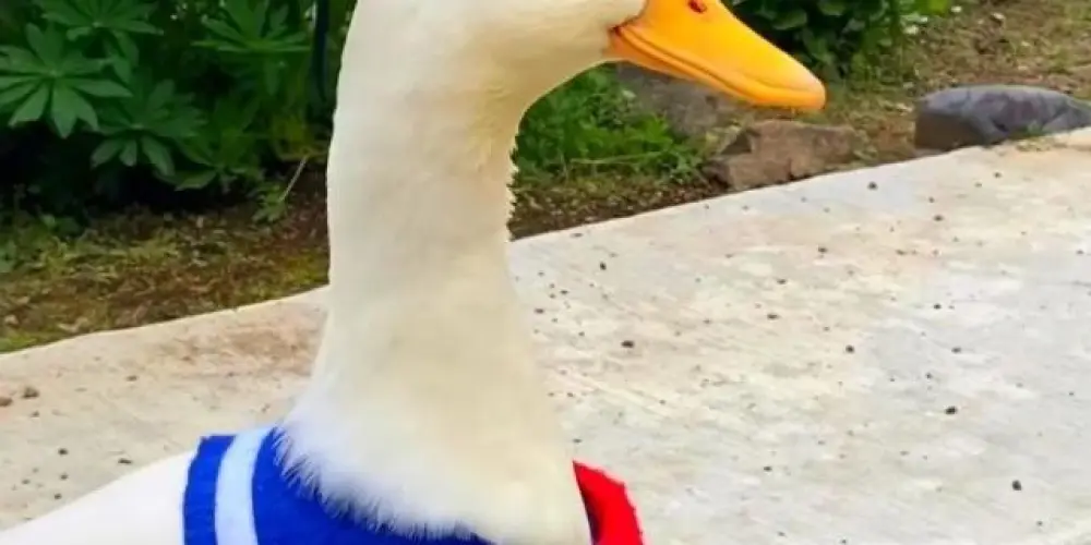 Imagem do grupo de WhatsApp ⚖️Crise Existencial⚖️