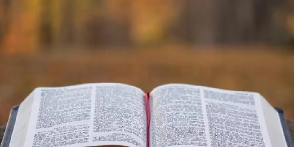 Imagem do grupo de WhatsApp Cristãos😇 Brasil