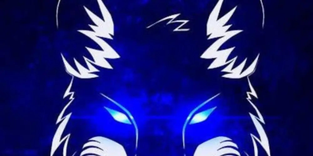 Imagem do grupo de WhatsApp Cruzeiro 💙