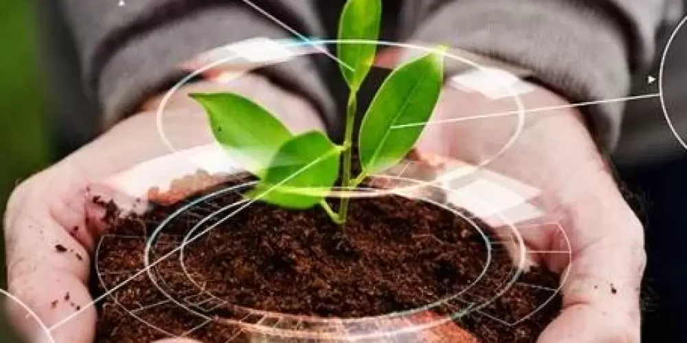 Imagem do grupo de WhatsApp 🌱🚜 Cultivando Juntos o Futuro Agrícola 🌱🚜