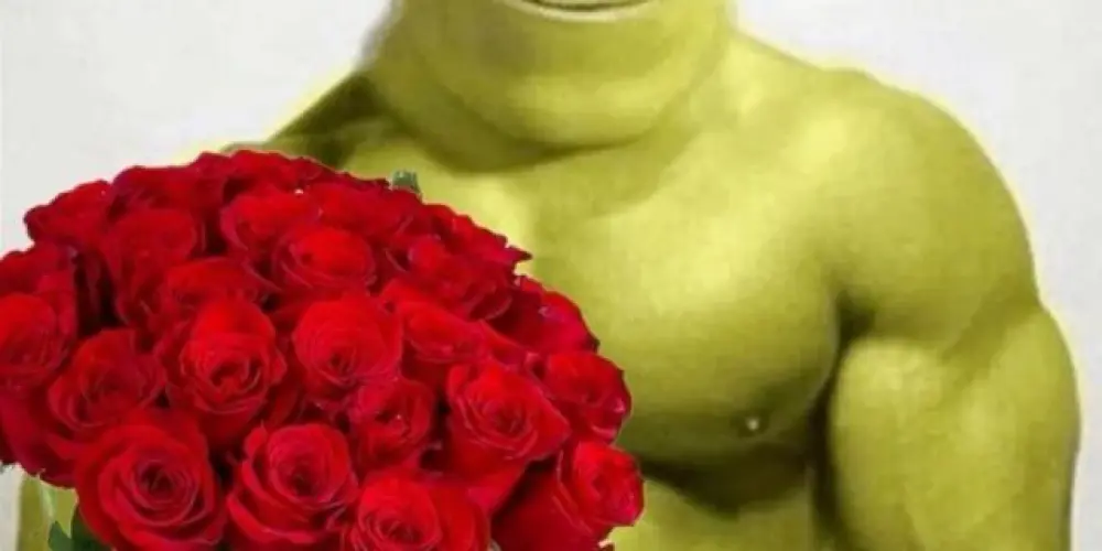 Imagem do grupo de WhatsApp Culto da Shreka 💚