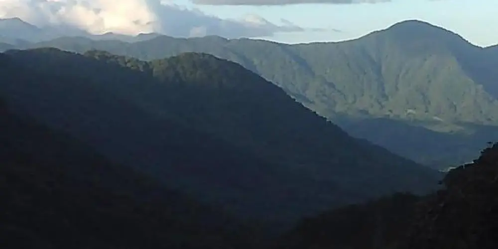 Imagem do grupo de WhatsApp cupretofidido