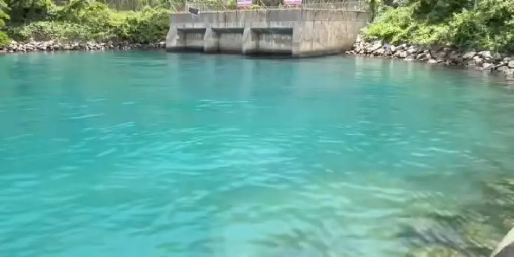 Imagem do grupo de WhatsApp Cura de traumas e frases emotivas