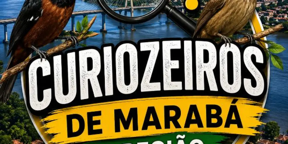 Imagem do grupo de WhatsApp Curiozeiros de marabar e região