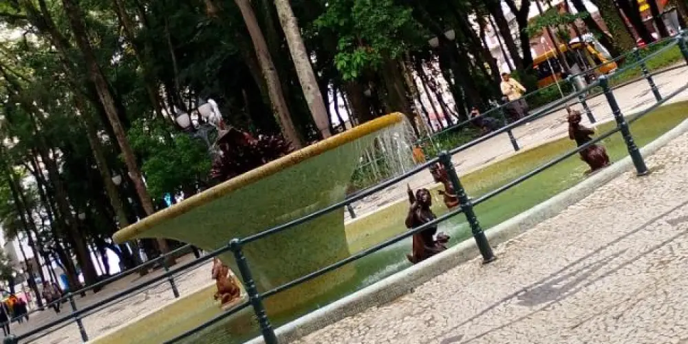 Imagem do grupo de WhatsApp Curitiba💜🫶🏽