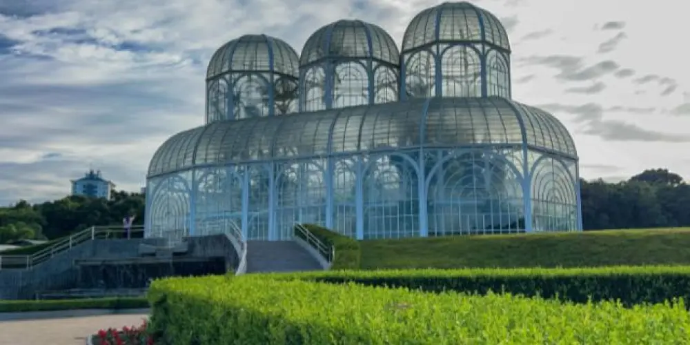 Imagem do grupo de WhatsApp Curitiba Friends