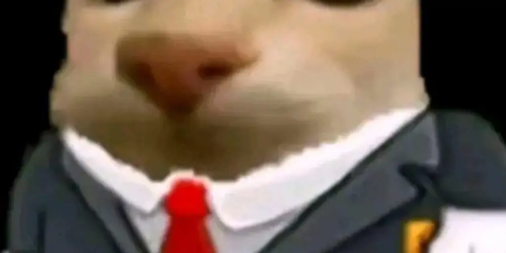 Imagem do grupo de WhatsApp Cururu