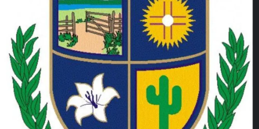 Imagem do grupo de WhatsApp Custódia debate político com democracia