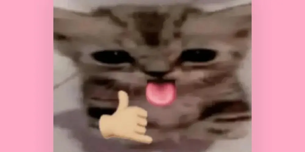 Imagem do grupo de WhatsApp ❄️ₒₛ ᵣₑₛₑₙₕᵤdᵤₛ❄