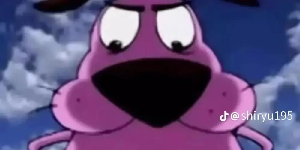 Imagem do grupo de WhatsApp D@rk Web 25