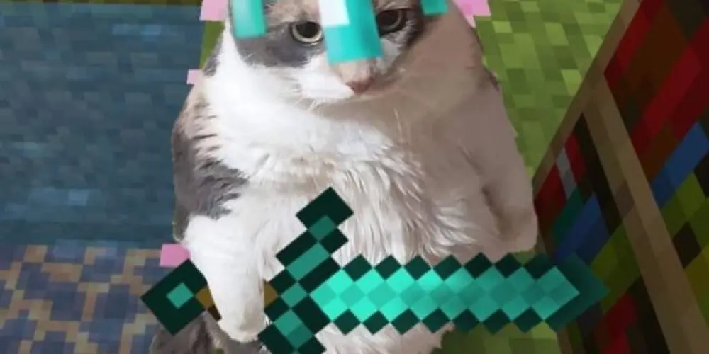 Imagem do grupo de WhatsApp დ .•*””*• 𝖌𝖆𝖙𝖚𝖝𝖔𝖘 •*””*•.დ