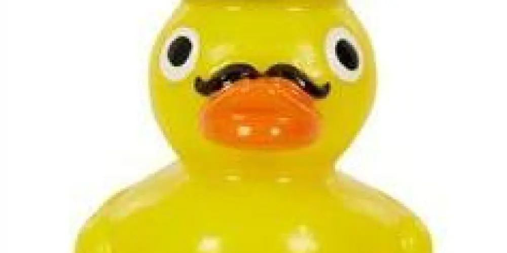 Imagem do grupo de WhatsApp ޭ⿻ Ɩ𝖾ࠋ℮᥊ d⍺ 𝗉𝗋Ꭵⴇꪮ𝗋ɗ𝗂⍺l 𖥻ᴀⴇꪮ ѵᦅ𝖼ê𝗌.