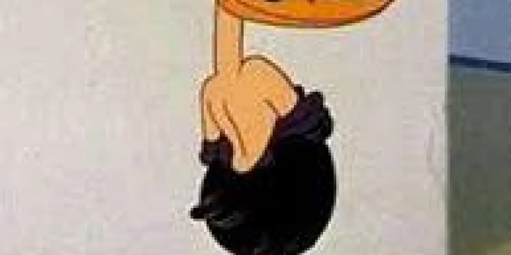 Imagem do grupo de WhatsApp Dailly dos sobreviventes ❤️‍🩹