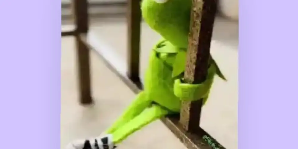 Imagem do grupo de WhatsApp Dani e amigos