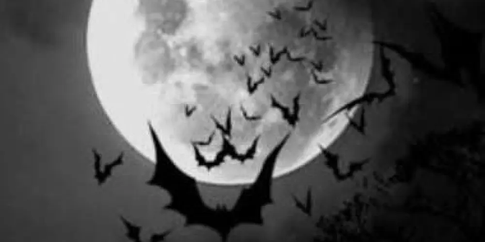 Imagem do grupo de WhatsApp ♧ DARK ♧  ²⁰²⁵ 🌙