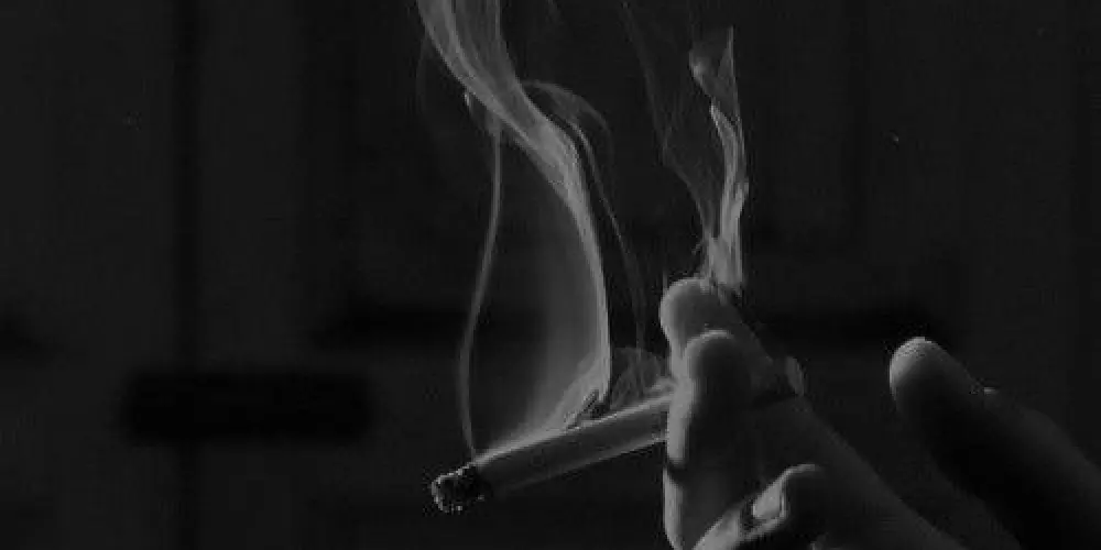 Imagem do grupo de WhatsApp Dark