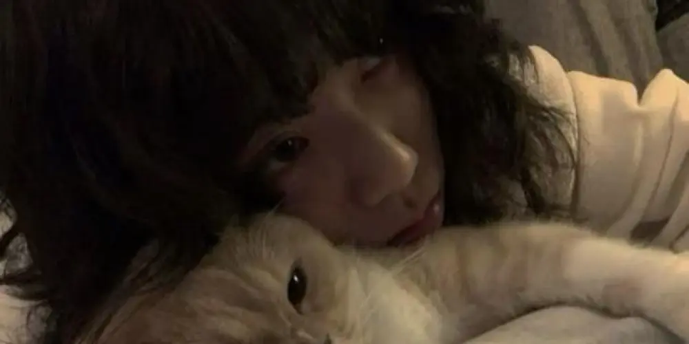 Imagem do grupo de WhatsApp ✰✰Dark Wave Music Lovers❅❅