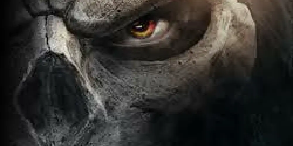 Imagem do grupo de WhatsApp Darksiders 🎮