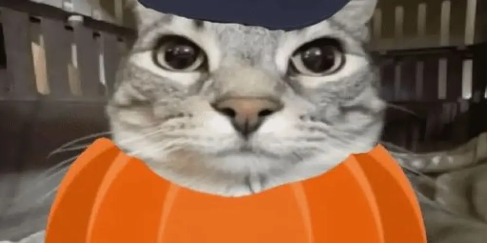 Imagem do grupo de WhatsApp d̳a̳s̳ a̳r̳á̳b̳i̳a̳s̳ (🎃Especial Halloween)