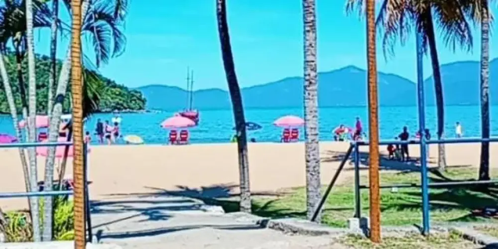 Imagem do grupo de WhatsApp Das novinhas 🚨🚨