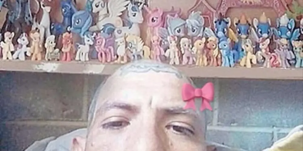 Imagem do grupo de WhatsApp Davi Brito Memes
