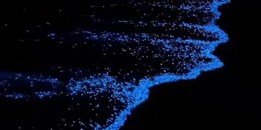 Imagem do grupo de WhatsApp De tudo um pouco