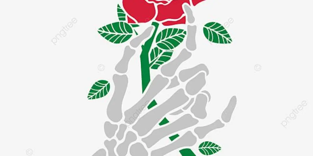 Imagem do grupo de WhatsApp ☠️Death in rede rose🌹