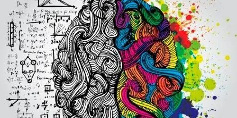 Imagem do grupo de WhatsApp 🔰DEBATE LIVRE🔰