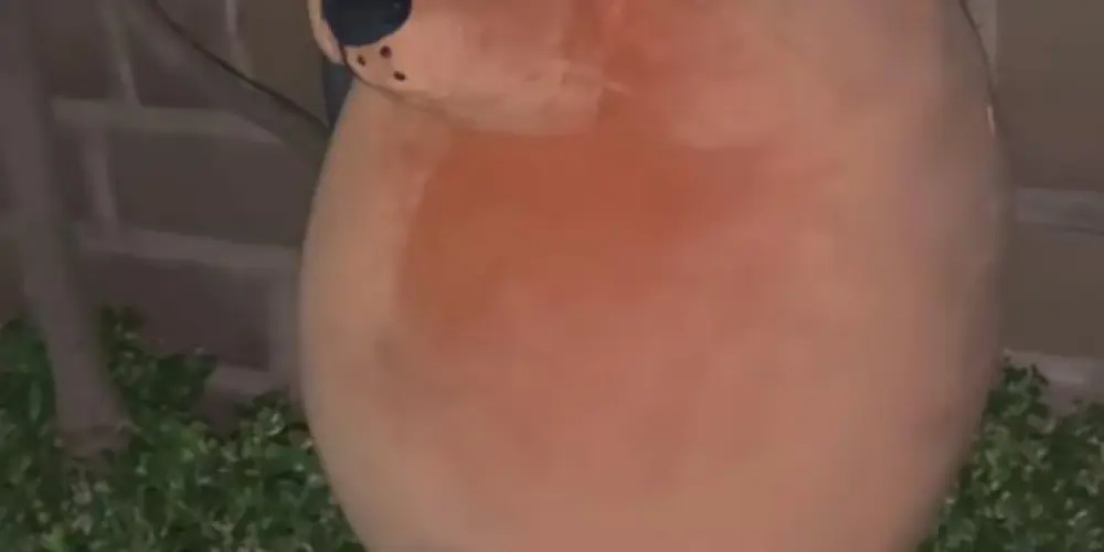 Imagem do grupo de WhatsApp DEBATES ⚽⚽⚽