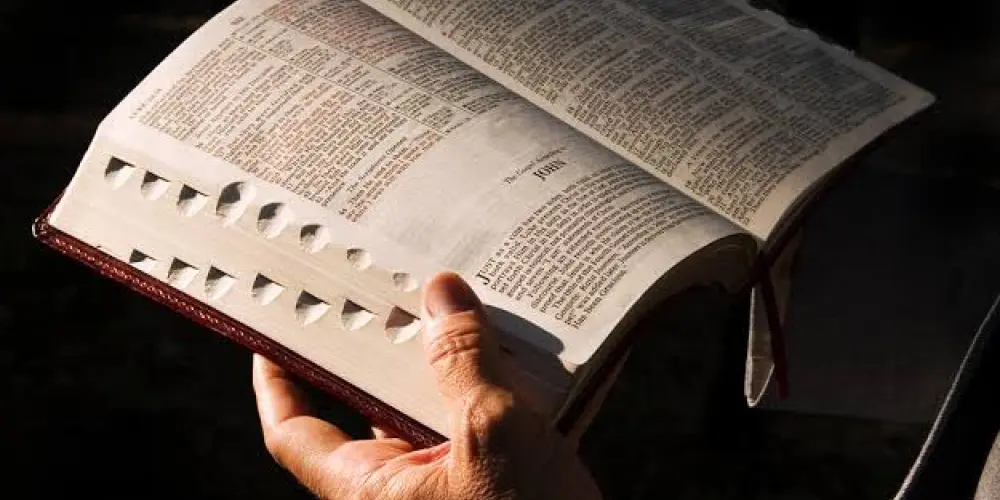 Imagem do grupo de WhatsApp Debates e estudos biblicos