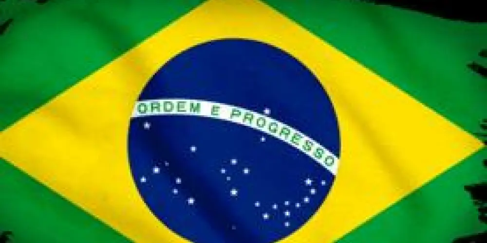 Imagem do grupo de WhatsApp Democracia brasileira
